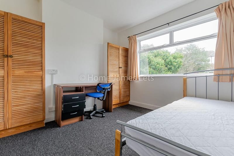 V919 Bedroom (1)